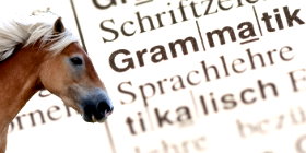 Trust-your-Horse Theoriekurs: 'Regeln der Kommunikation'